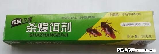 【紧急提醒】如果有“防疫站工作人员”上门灭杀蟑螂，请立刻报警 - 灌水专区 - 亳州生活社区 - 亳州28生活网 bozhou.28life.net