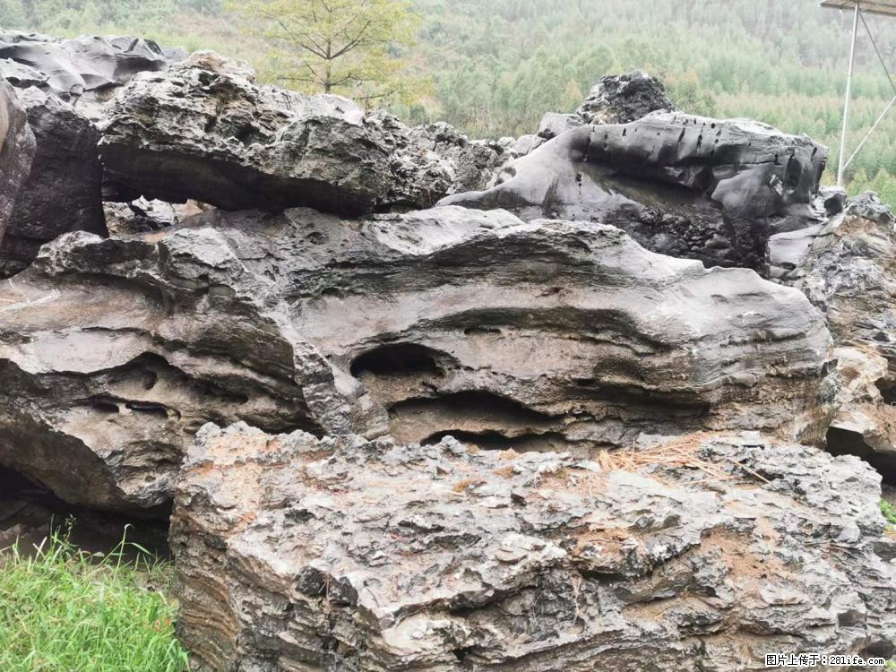 风景石、假山石大量有货，有需要的欢迎联系 - 新手上路 - 亳州生活社区 - 亳州28生活网 bozhou.28life.net