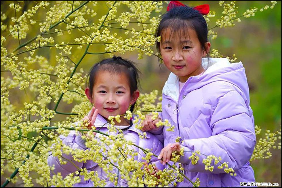 【春天，广西桂林灌阳县向您发出邀请！】米珠山前有片山苍子花在飘香 - 游山玩水 - 亳州生活社区 - 亳州28生活网 bozhou.28life.net
