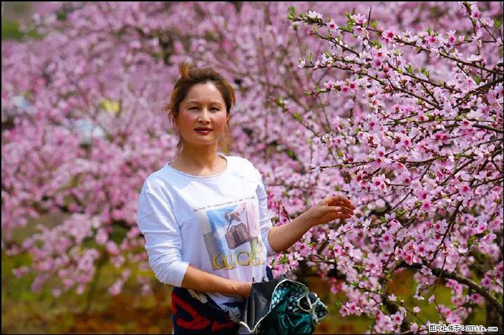 【春天，广西桂林灌阳县向您发出邀请！】官庄村有个醉美的桃花园 - 游山玩水 - 亳州生活社区 - 亳州28生活网 bozhou.28life.net