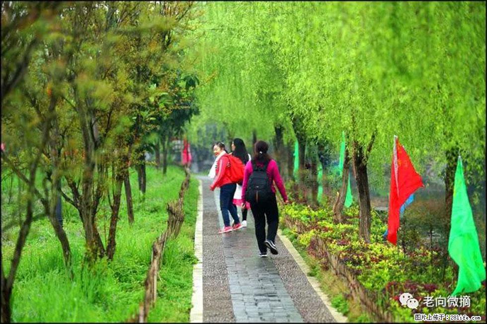 【春天，广西桂林灌阳县向您发出邀请！】江口老街又逢春 - 游山玩水 - 亳州生活社区 - 亳州28生活网 bozhou.28life.net