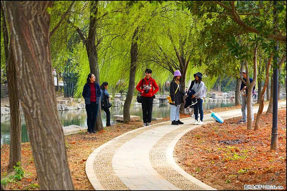 【春天，广西桂林灌阳县向您发出邀请！】江口老街又逢春 - 游山玩水 - 亳州生活社区 - 亳州28生活网 bozhou.28life.net