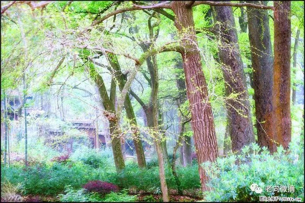 【春天，广西桂林灌阳县向您发出邀请！】在小龙村与春天约会 - 游山玩水 - 亳州生活社区 - 亳州28生活网 bozhou.28life.net