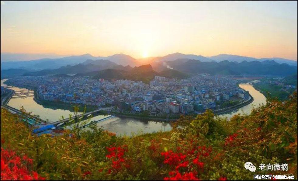 【春天，广西桂林灌阳县向您发出邀请！】登麒麟山，相约映山红 - 游山玩水 - 亳州生活社区 - 亳州28生活网 bozhou.28life.net