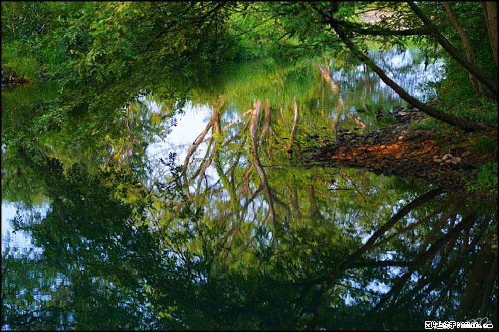 【春天，广西桂林灌阳县向您发出邀请！】熊家寨湿地公园 - 游山玩水 - 亳州生活社区 - 亳州28生活网 bozhou.28life.net