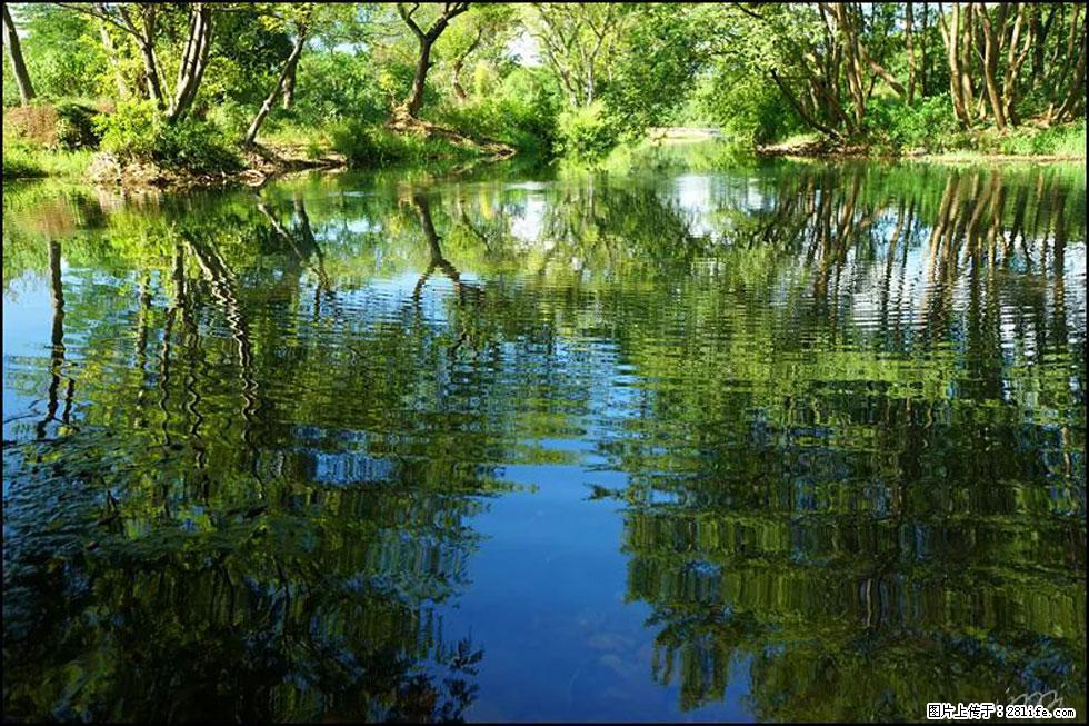 【春天，广西桂林灌阳县向您发出邀请！】熊家寨湿地公园 - 游山玩水 - 亳州生活社区 - 亳州28生活网 bozhou.28life.net