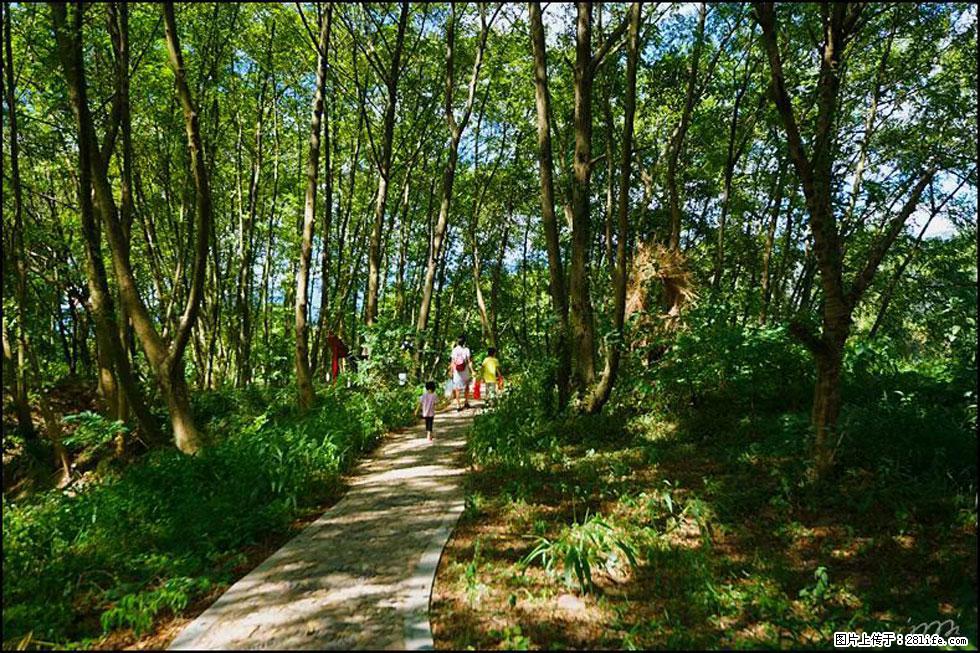 【春天，广西桂林灌阳县向您发出邀请！】熊家寨湿地公园 - 游山玩水 - 亳州生活社区 - 亳州28生活网 bozhou.28life.net