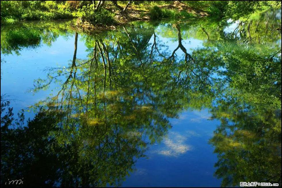 【春天，广西桂林灌阳县向您发出邀请！】熊家寨湿地公园 - 游山玩水 - 亳州生活社区 - 亳州28生活网 bozhou.28life.net