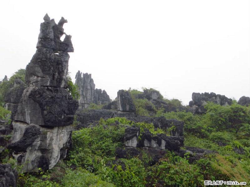 桂林旅游名城景点：灌阳文市石林 - 游山玩水 - 亳州生活社区 - 亳州28生活网 bozhou.28life.net