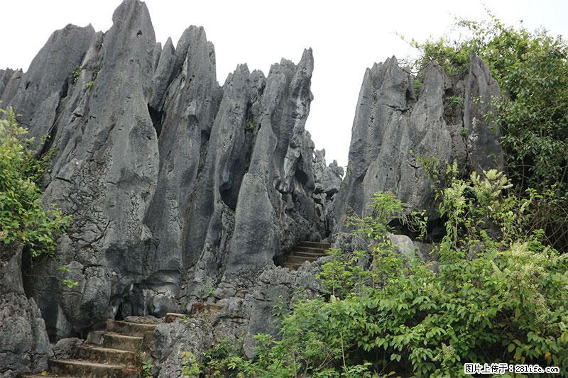 桂林旅游名城景点：灌阳文市石林 - 游山玩水 - 亳州生活社区 - 亳州28生活网 bozhou.28life.net