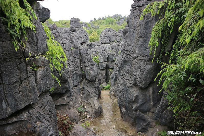 桂林旅游名城景点：灌阳文市石林 - 游山玩水 - 亳州生活社区 - 亳州28生活网 bozhou.28life.net