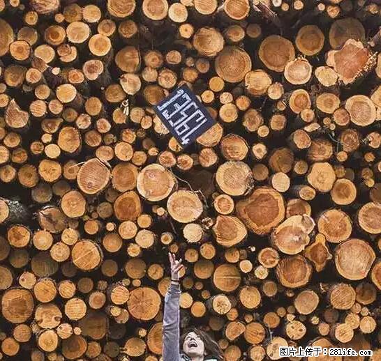 辞掉工作周游世界？现在他们在洗厕所…… - 游山玩水 - 亳州生活社区 - 亳州28生活网 bozhou.28life.net