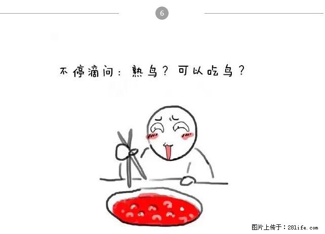 千万不要和这9种哈卵一起吃火锅！ - 美食天地 - 亳州生活社区 - 亳州28生活网 bozhou.28life.net
