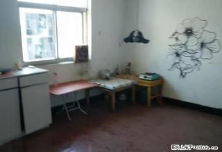 光明小区 阁楼 1室厅1卫 带独立卫生间 阳台 500月 - 亳州28生活网 bozhou.28life.net