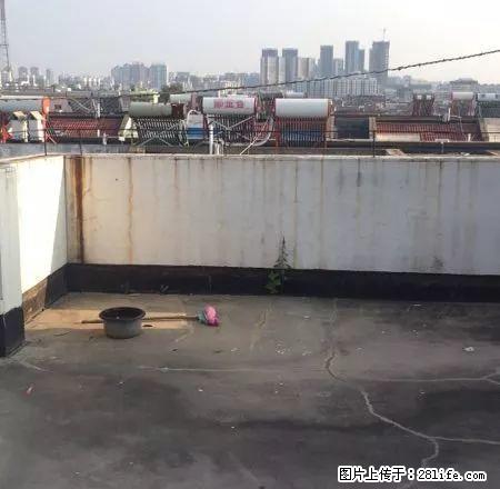 中市区一室一厅房屋出租，拎包入住，价格便宜 - 房屋出租 - 房屋租售 - 亳州分类信息 - 亳州28生活网 bozhou.28life.net