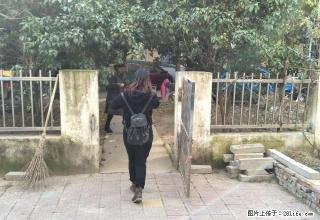 小区一楼带大院房子出租，三室 - 亳州28生活网 bozhou.28life.net