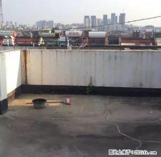 中市区一室一厅房屋出租，拎包入住，价格便宜 - 亳州28生活网 bozhou.28life.net