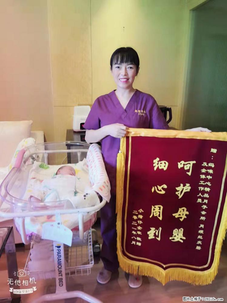 上海高端月子会所招新手月嫂，零基础带教，包吃住 - 职场交流 - 亳州生活社区 - 亳州28生活网 bozhou.28life.net