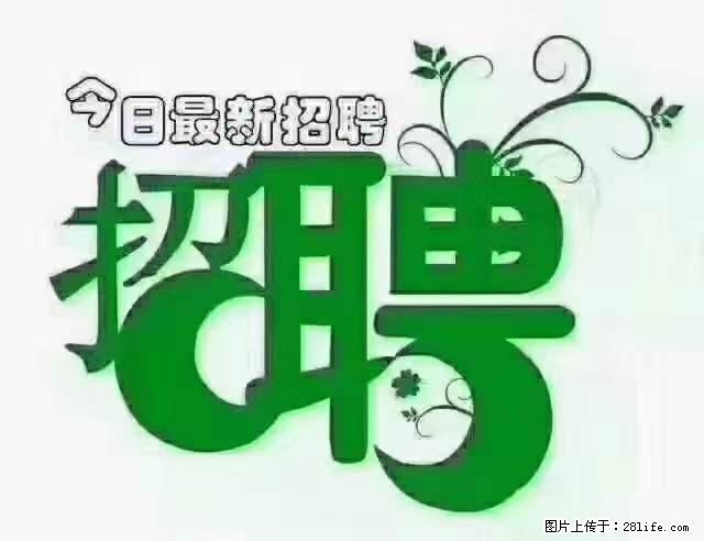 【招聘摄像师】待遇：试用期6000元/月，转正7000元/月+五险一金+餐补+节日福利+奖金 - 其他招聘信息 - 招聘求职 - 亳州分类信息 - 亳州28生活网 bozhou.28life.net