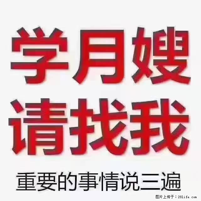 【招聘】月嫂，上海徐汇区 - 职场交流 - 亳州生活社区 - 亳州28生活网 bozhou.28life.net