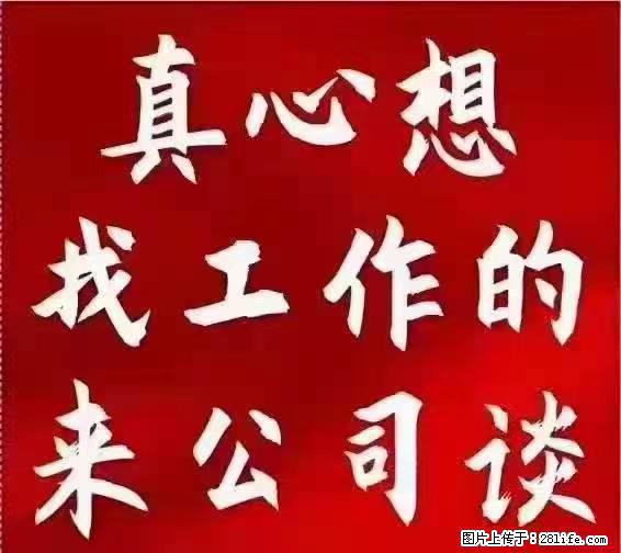 【上海】国企，医院招两名男保安，55岁以下，身高1.7米以上，无犯罪记录不良嗜好 - 职场交流 - 亳州生活社区 - 亳州28生活网 bozhou.28life.net