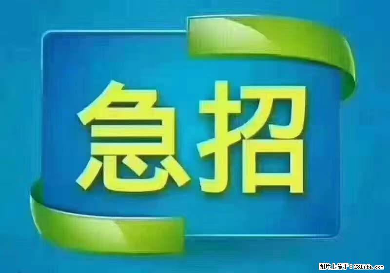 招财务，有会计证的，熟手会计1.1万底薪，上海五险一金，包住，包工作餐，做六休一 - 职场交流 - 亳州生活社区 - 亳州28生活网 bozhou.28life.net
