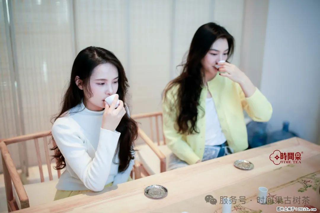 时间果百年古树龙珠普洱生茶 - 购物交流 - 亳州生活社区 - 亳州28生活网 bozhou.28life.net