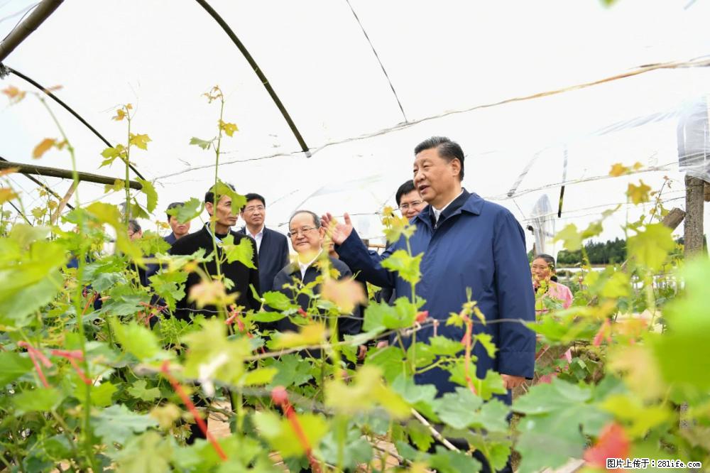习近平赴广西考察调研 - 亳州生活资讯 - 亳州28生活网 bozhou.28life.net