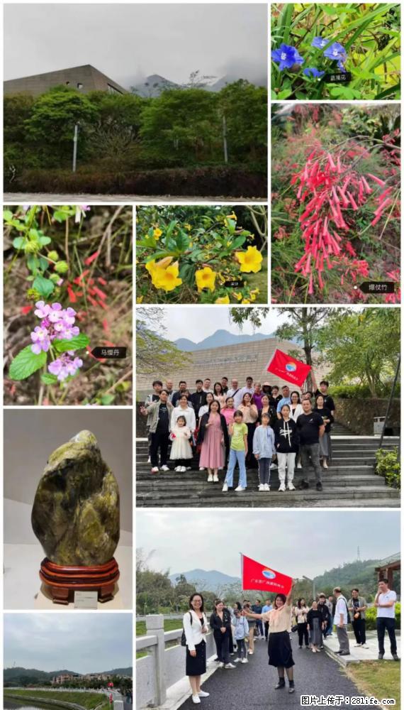 “粤灌文化 美好生活”油茶文化主题活动在广东深圳成功举办 - 亳州生活资讯 - 亳州28生活网 bozhou.28life.net