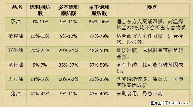揭秘茶油的5大核心营养成分！被称为人体健康的“守护盾”！ - 亳州生活资讯 - 亳州28生活网 bozhou.28life.net