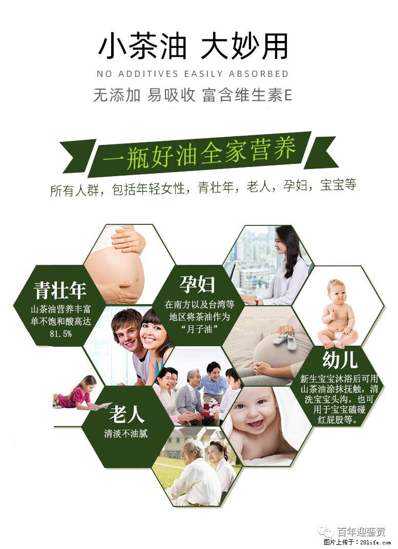 世界没有真相，只有认知，最好的食用油是中国的山茶油！ - 亳州生活资讯 - 亳州28生活网 bozhou.28life.net
