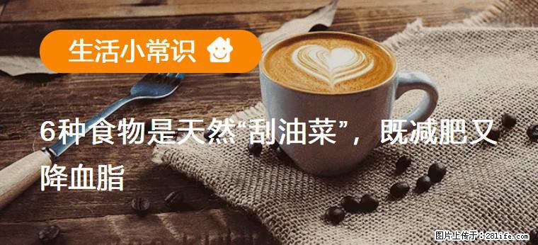 【生活小常识】6种食物是天然“刮油菜”，既减肥又降血脂 - 亳州生活资讯 - 亳州28生活网 bozhou.28life.net