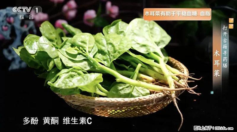 比牛奶补钙还厉害！凉血解毒、稳血糖...这菜冬天必吃，很多人却当草 - 亳州生活资讯 - 亳州28生活网 bozhou.28life.net