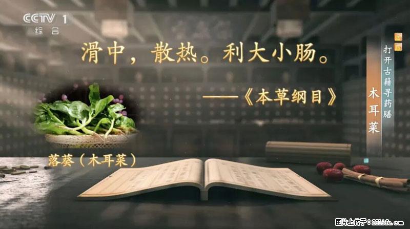 比牛奶补钙还厉害！凉血解毒、稳血糖...这菜冬天必吃，很多人却当草 - 亳州生活资讯 - 亳州28生活网 bozhou.28life.net