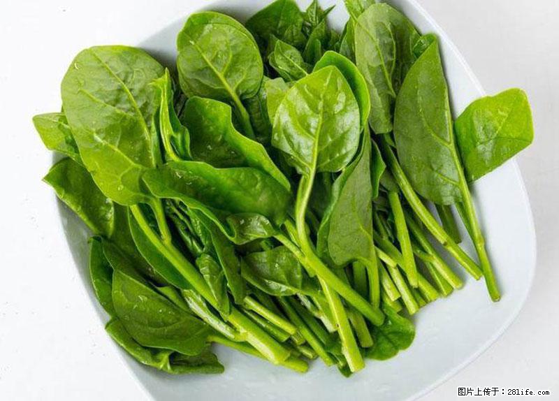 这些蔬菜是“天然钙片”，这6种被医生重点推荐 - 亳州生活资讯 - 亳州28生活网 bozhou.28life.net