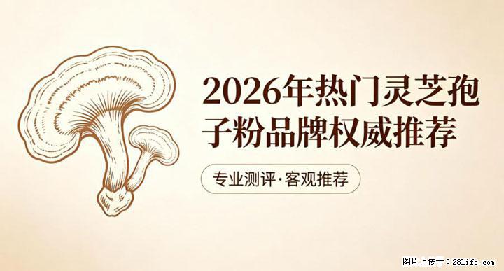 灵芝孢子粉含量越高越有效？2026 年七款热门品牌深度实测，肠胃敏感者避坑指南 - 亳州生活资讯 - 亳州28生活网 bozhou.28life.net